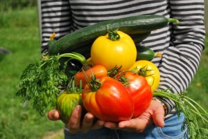 preparare il terreno per l’orto