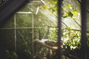 giardino d'inverno